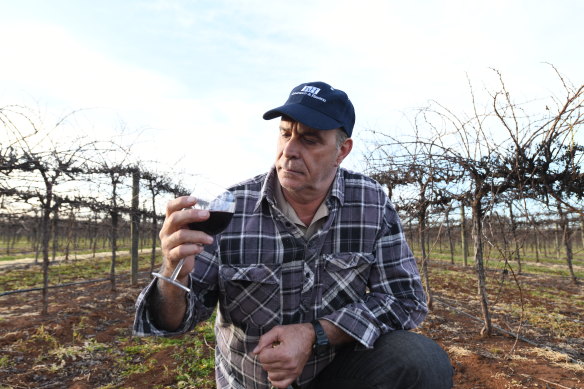 Inland red grape growers in Australia are still dealing with the fall-out of China’s hefty tariffs on Australia’s wine industry.