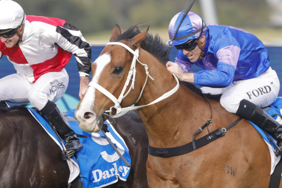 Former kiwi Bold Mac made a winning debut at Rosehill on Saturday and could be aimed at the Five Diamonds in the spring.