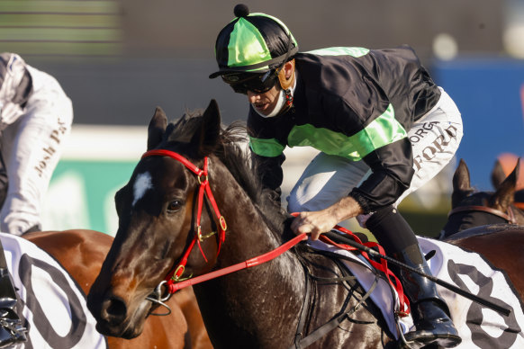 Private Eye will defend a perfect record on heavy tracks in the Canterbury Stakes at Randwick on Saturday  