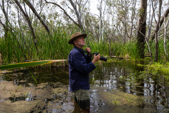 Professor Richard Kingsford has studied Macquarie Marshes and led surveys of waterfowl across Australia for 37 years.