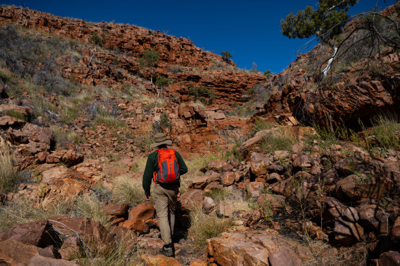 Inside the property is a 10,000-hectare fenced area completely devoid of feral animals including cats and foxes. 