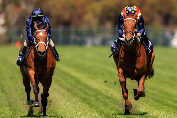 Nature Strip (right) and Home Affairs compete in the  jump-out at Rosehill.  