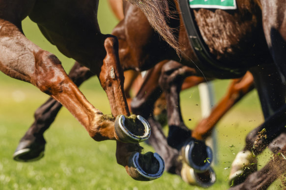 Racing returns to Goulburn on Monday with an eight-race card.