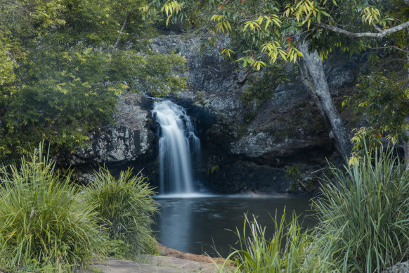 From the top of Kondalilla Falls, the Skene Creek waterhole drops 90 metres.