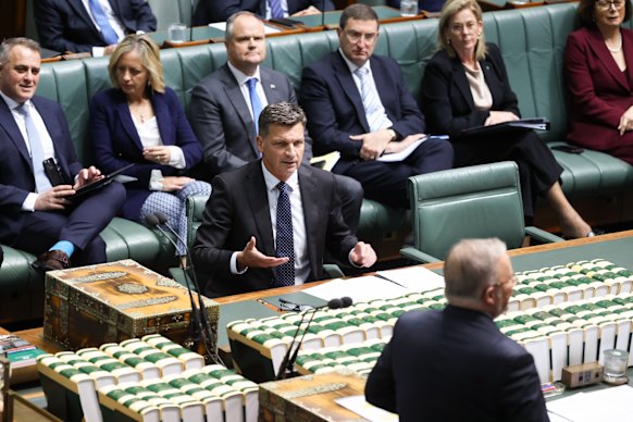 Opposition Leader Angus Taylor and Prime Minister Anthony Albanese.