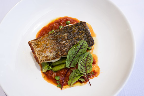 Humpty Doo Barramundi, with roasted tomato ragu, asparagus, green peas and broad beans.