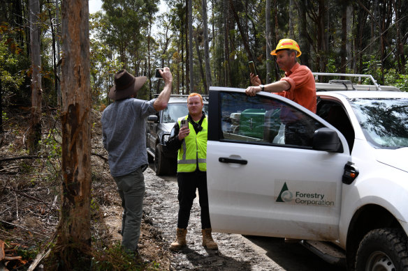 Graham and Forestry Corporation employees face off during a visit to the north coast forests with the Herald.