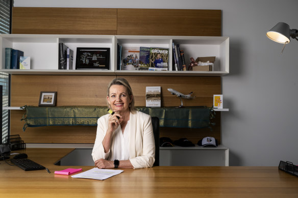 Liberal deputy leader Sussan Ley says she supports adopting a gender target of 50 per cent in preselections.