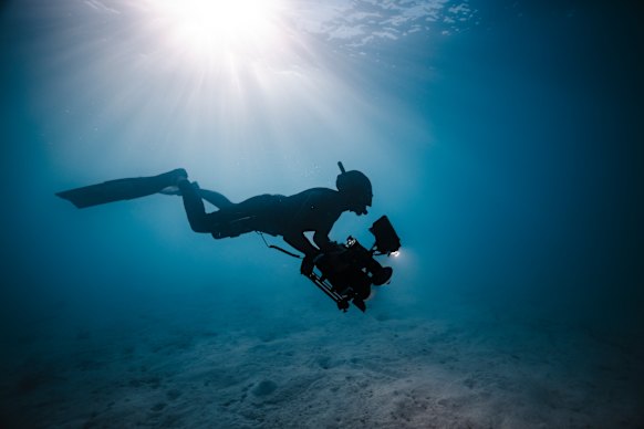 One of the team searches the seabed. 