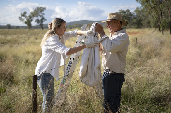 Farmer Robert Frend passes a bagged koala to vet Sarah Simpson.