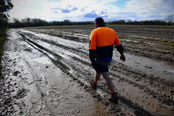 La Nina has inflicted damage to players across the food and agribusiness industry - from fresh produce growers to ASX-listed companies like Elders.
