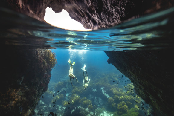 See what lies below at Poor Knights Island on the Tutukaka Coast.