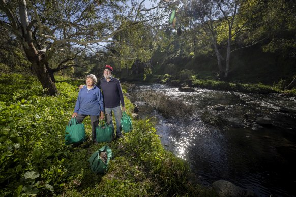 Labour of love: Meredith Kefford and Bruce Lavender, veteran volunteer litter removers at Merri Creek in Clifton Hill.
