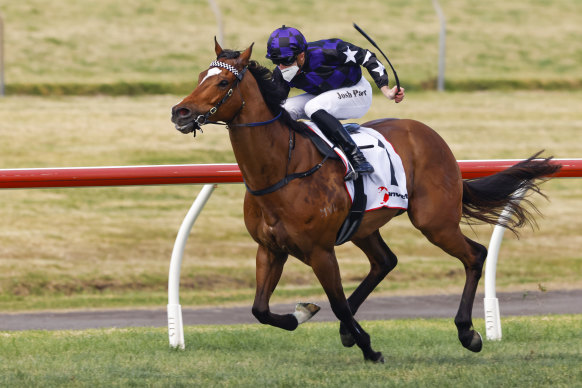 Flying Big Parade is ready to step into stakes company in the Theo Marks Stakes at Kembla Grange on Saturday 