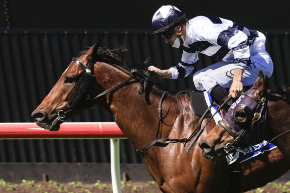 Wednesday’s forecast conditions should suit Dalaalaat in the seventh at Randwick.