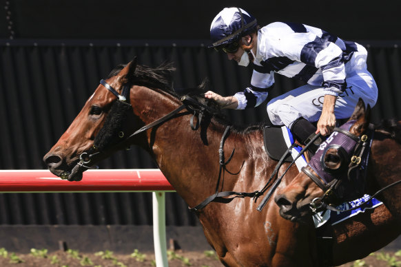 Nathan Doyle-trained Dalaalaat wins a Midway Handicap at Kembla Grange last year.