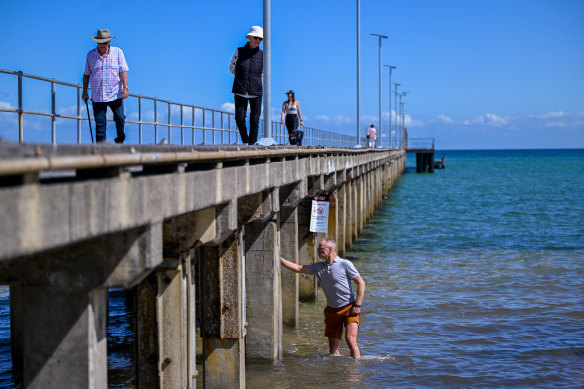 Dromana Pier has fallen into a state of disrepair. 