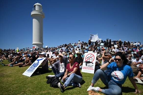 Protests against wind farms link danger to whales, but there is no evidence that whales would be affected.