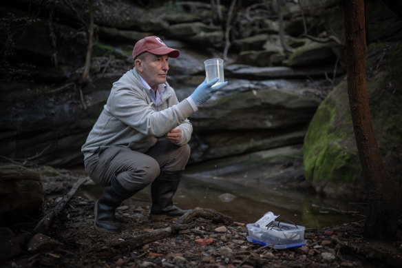 Testing the waters: Dr Ian Wright at Wheeny Creek.