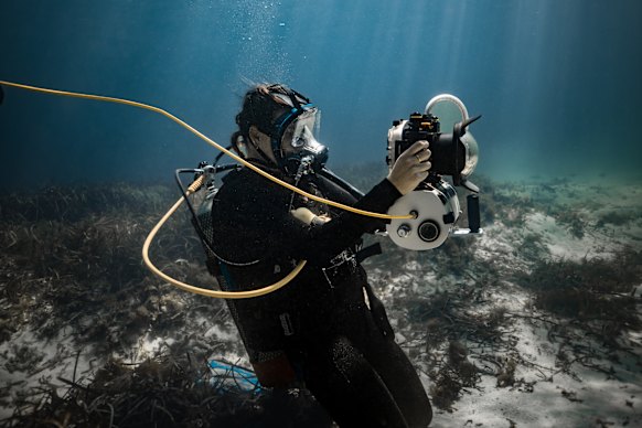 Underwater camera operator Kesia Savill filming for Paramount Importance’s first underwater podcast. 