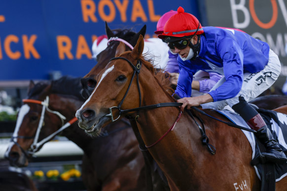 Fituese will aim for the Sheraco next month after winning at Randwick on Saturday.