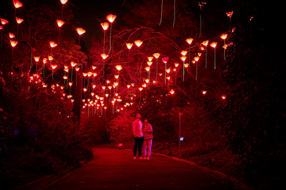 Lightscape at the Botanic Gardens attracted about 200,000 people and will be staged again next winter. 