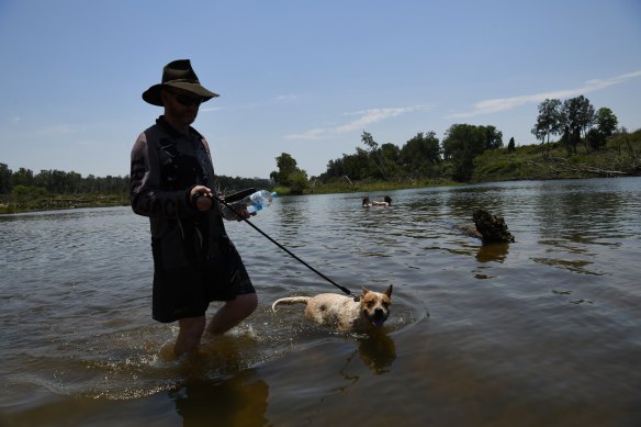  Scottie walks his cattle dog through the water to cool him down in the Nepean River at Yarramundi where people are seeking refuge from stifling heat. At 1pm the temperature at Yarramundi hit 42 degrees and expected to hit the mid-forties later.