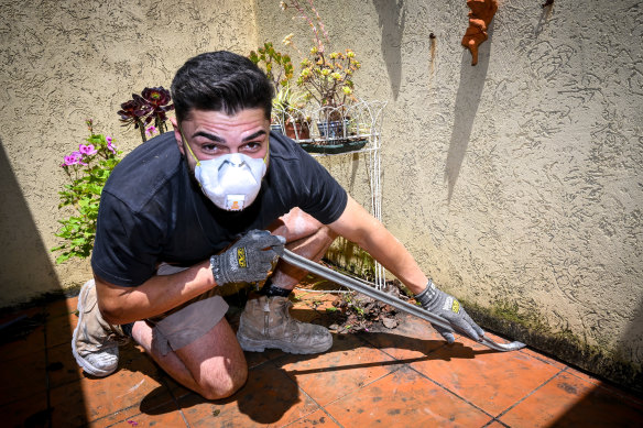 Steven Constantinou at work removing mould in Hawthorn last week. 