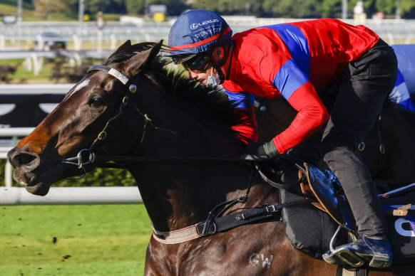 Verry Elleegant will opt for the George Main over a Makybe Diva Stakes tilt in Melbourne.