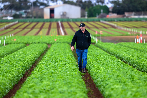 Werribee South farmer Marco Mason says urban encroachment is making farming on Melbourne’s fringe less viable. 