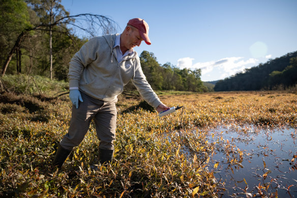 Testing the waters: Dr Ian Wright at Wheeny Creek.