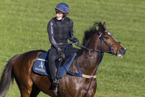 James McDonald looks relaxed on Zaaki in trackwork at Randwick.