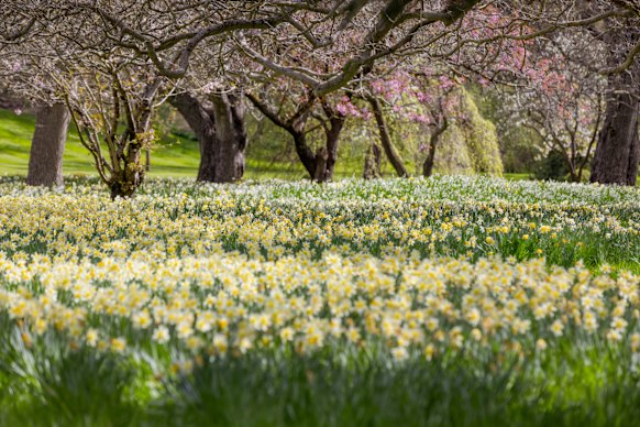 Holme Station sits among six hectares of gardens.