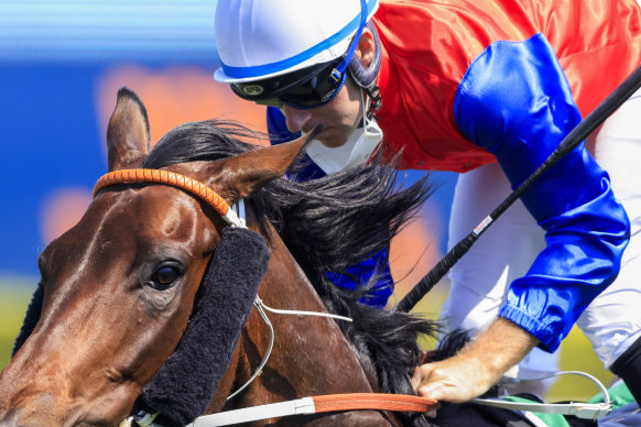 Hilal and Tommy Berry take out the Stan Fox Stakes.