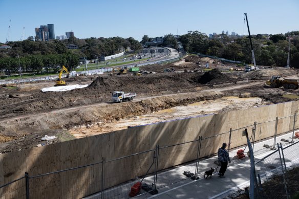 Hundreds of trees have been cut down at Cammeray Golf Course for the upgrade to the motorway.