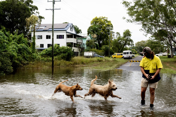 Pine Street, in Lismore, where a group of squatters have allegedly been the focus of harassment after Premier Chris Minns criticised them last week.