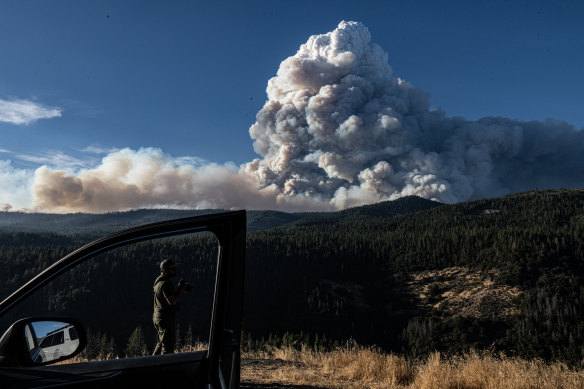 The huge pyrocumulous smoke column from the Park Fire.