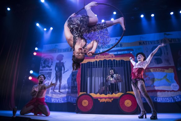 Natives Go Wild revisits the time of P.T. Barnum.