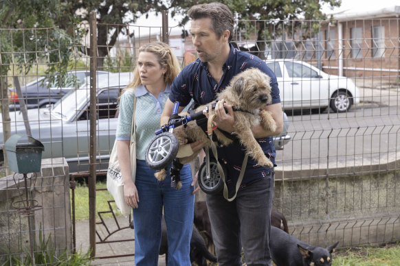 Harriet Dyer and Patrick Brammall star as a couple brought together by an injured dog in Colin from Accounts.