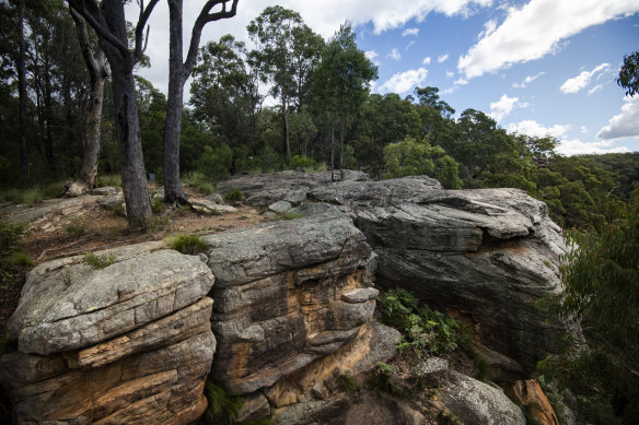 Yellow Rock Lookout where NSW MP Michael Johnsen has been accused of raping a sex worker.