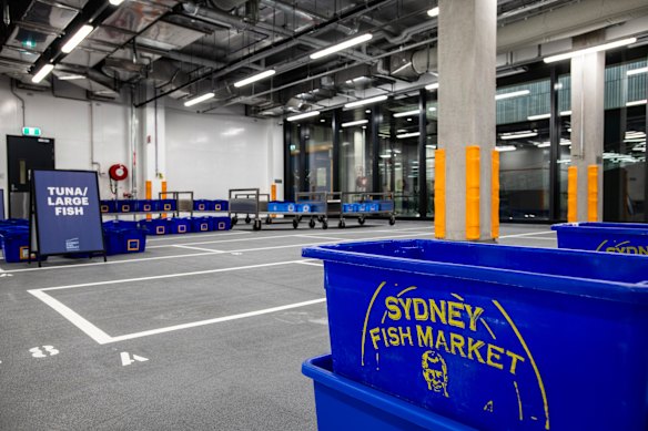 O espaço de comércio grossista, visível ao público, dispõe de zonas de armazenamento de diversas espécies de peixes e crustáceos. 