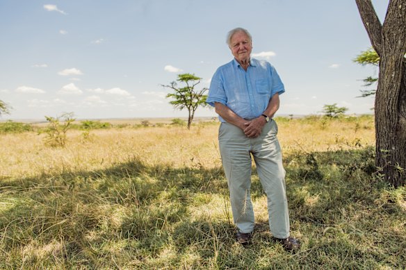 Sir David Attenborough pictured in the Maasai Mara, Kenya, in the Netflix documentary A Life on Our Planet.