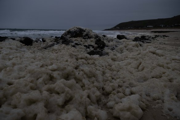 Toxic foam from the bloom at Carrickalinga Beach on the Fleurieu Peninsula last year.