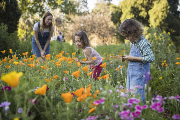 Gabriel and Camille, 6, with mum Nathalie Segeral, of Forest Lodge, enjoying the outdoors. 