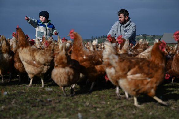 Farmer Xavier Prime with his flock and two-year-old son Max. 