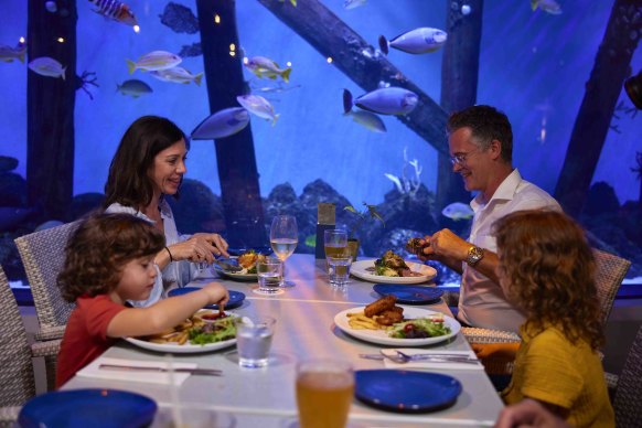 Tuck into a seafood feast at Cairns’ own nautically themed aquarium restaurant.