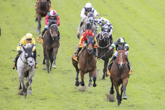 Sam Clipperton rides Stockman (right)  to victory in the feature McKell Cup.