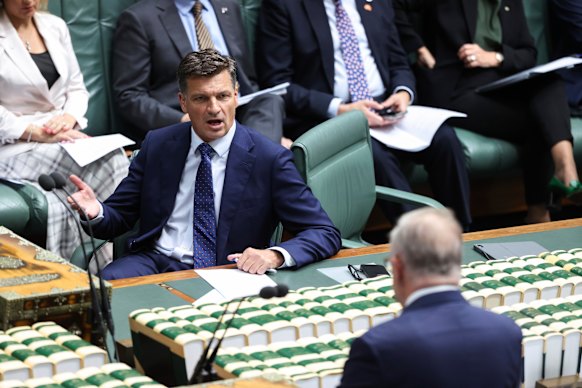 Opposition Leader Angus Taylor and Prime Minister Anthony Albanese in question time on Wednesday.