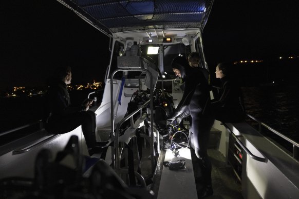 Divers prepare for their night dive on Thursday when they saw sharks and fish.