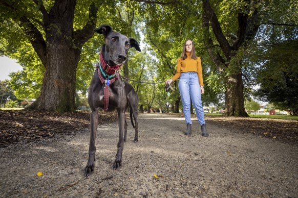 Natasha Birimac would be keen to take her greyhound, Jayce, to an off-leash park.